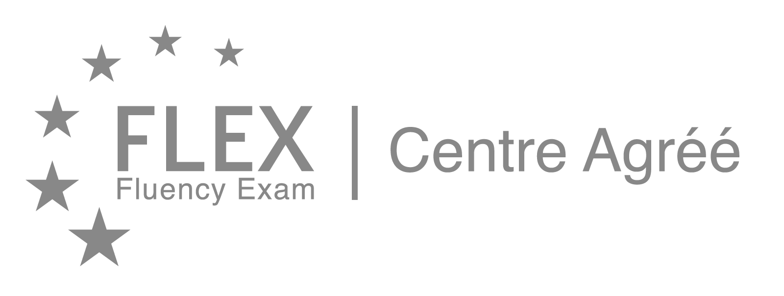 FLEX partner logo grey